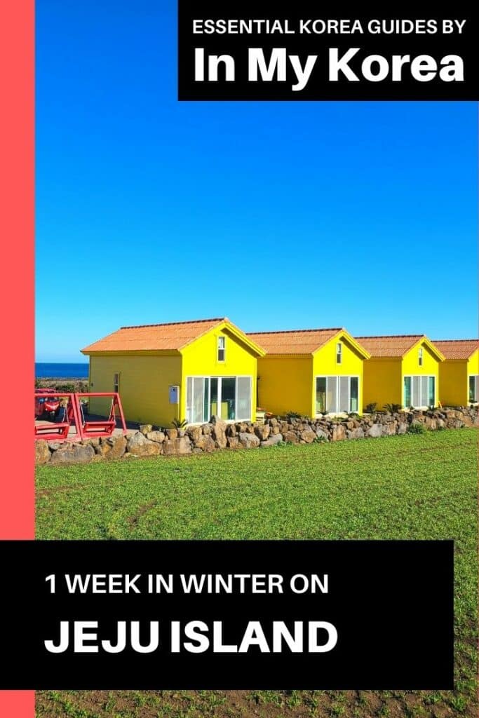 1 Week On Jeju Island in Winter Pin 3