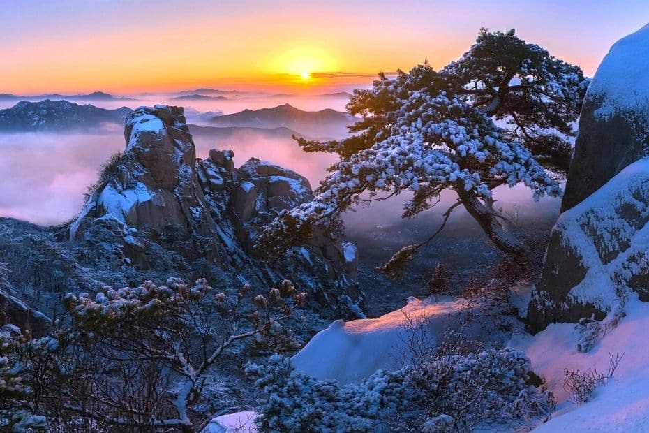 Where to see snow in Korea 3