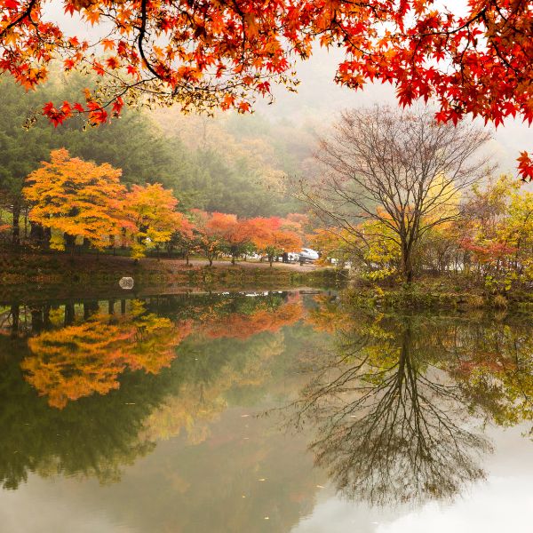 Autumn foliage at Seonunsa Temple Dosolcheon Stream