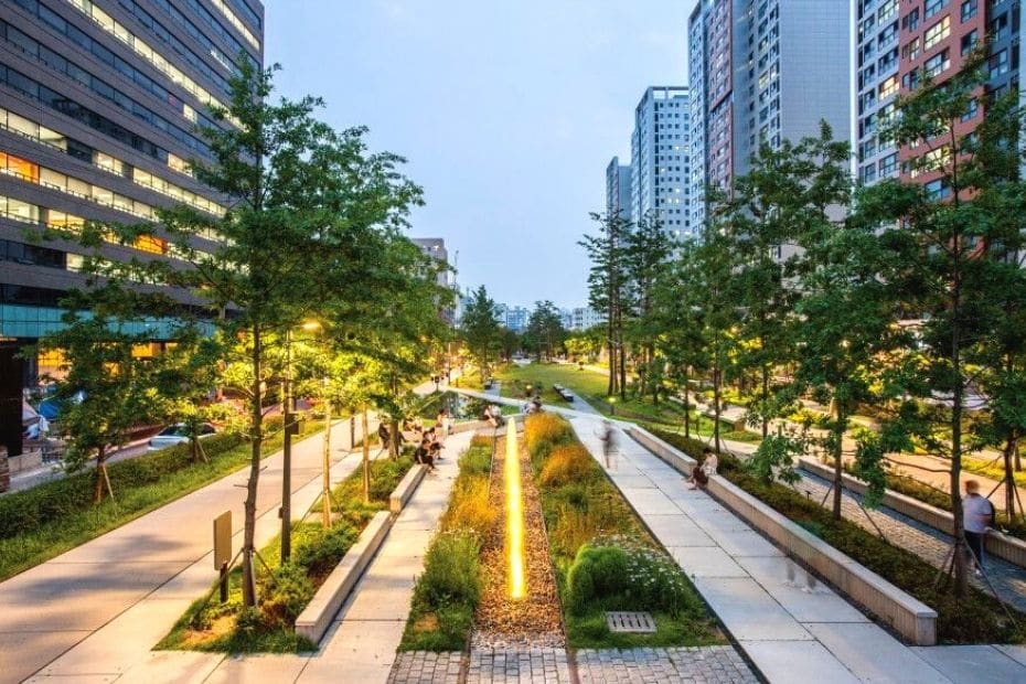 City park in Seoul during summer
