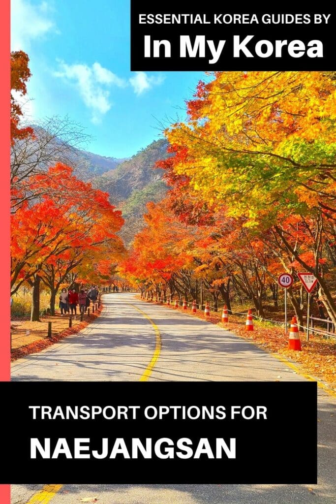 Transport Options For Naejangsan National Park
