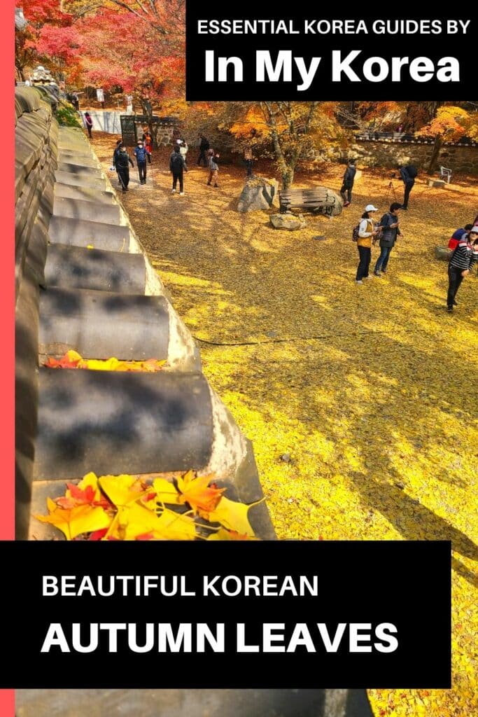Beautiful Korean autumn leaves pictures Pin 1