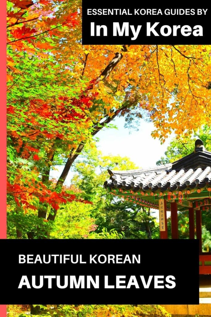 Beautiful Korean autumn leaves pictures Pin 3