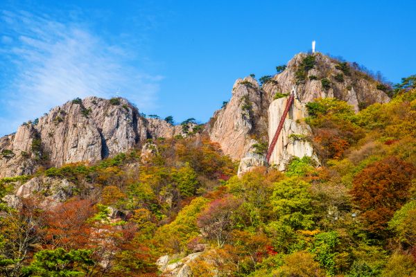 Lesser-Known Autumn Leaves Spots In Korea