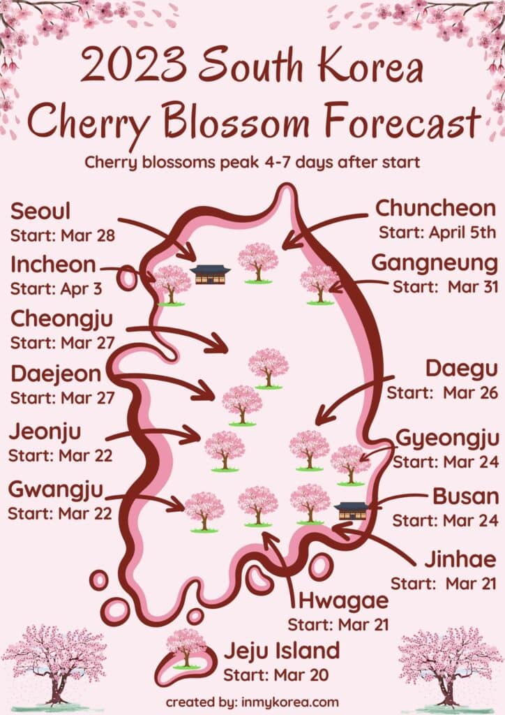 South Korea Cherry Blossom Forecast 2023