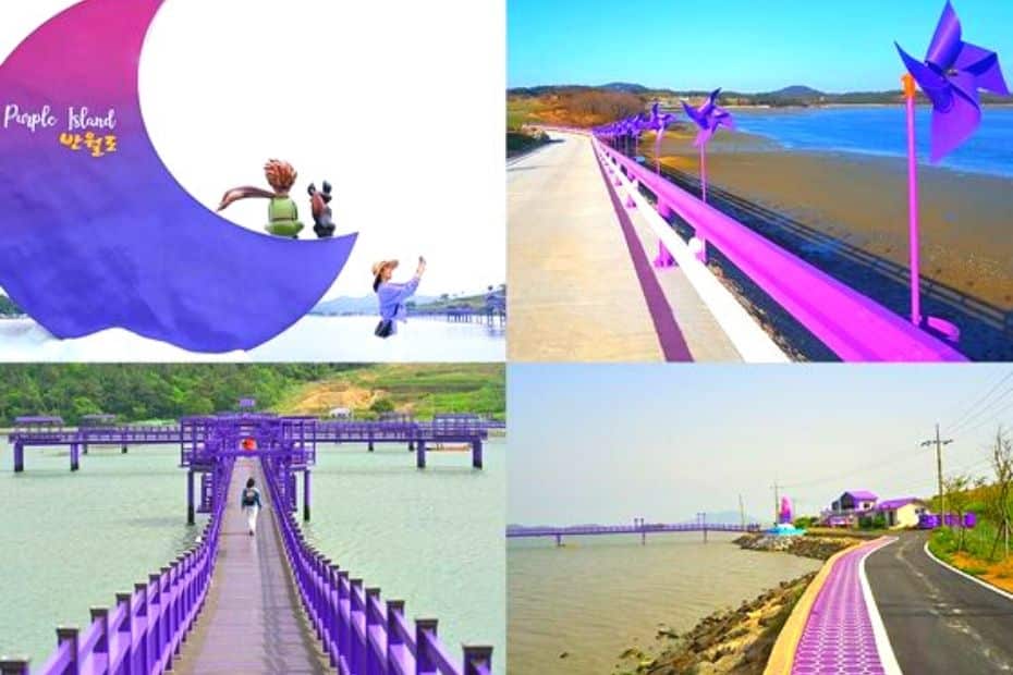 Purple Island in Korea is a real Korea bucket list item
