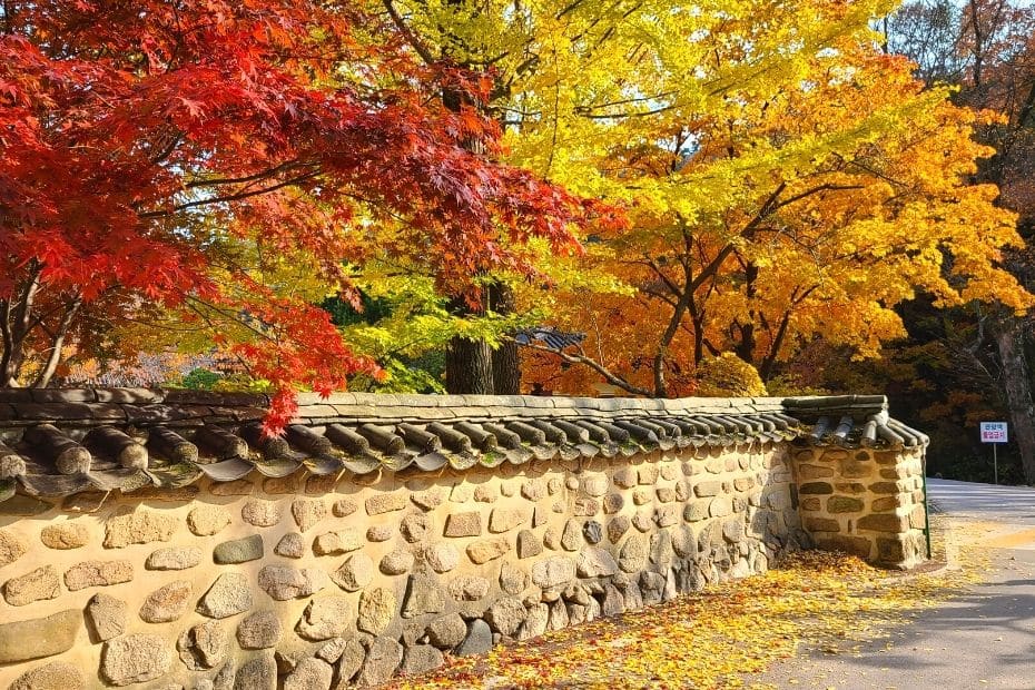 Autumn leaves at Sognisan National Park in Korea