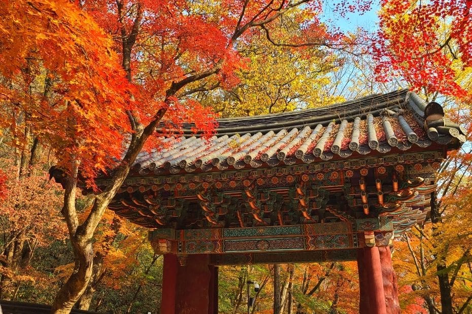 Go to Naejangsan National Park to see fall foliage