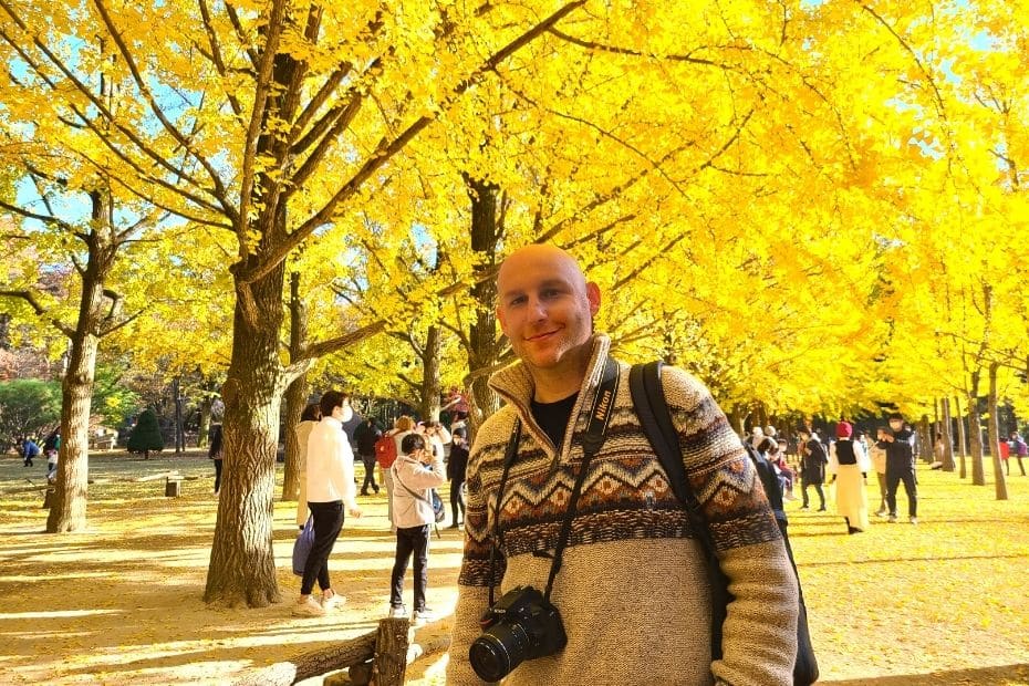 My Favourite Korean Autumn Leaves Pictures