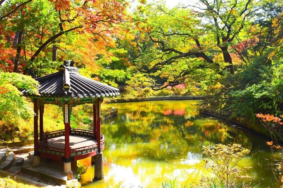 Autumn leaves at the Secret Garden in Seoul