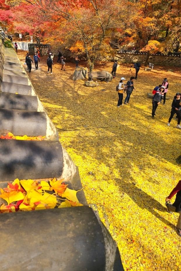 Autumn Leaves at Naejangsa Temple at Naejangsan National Park