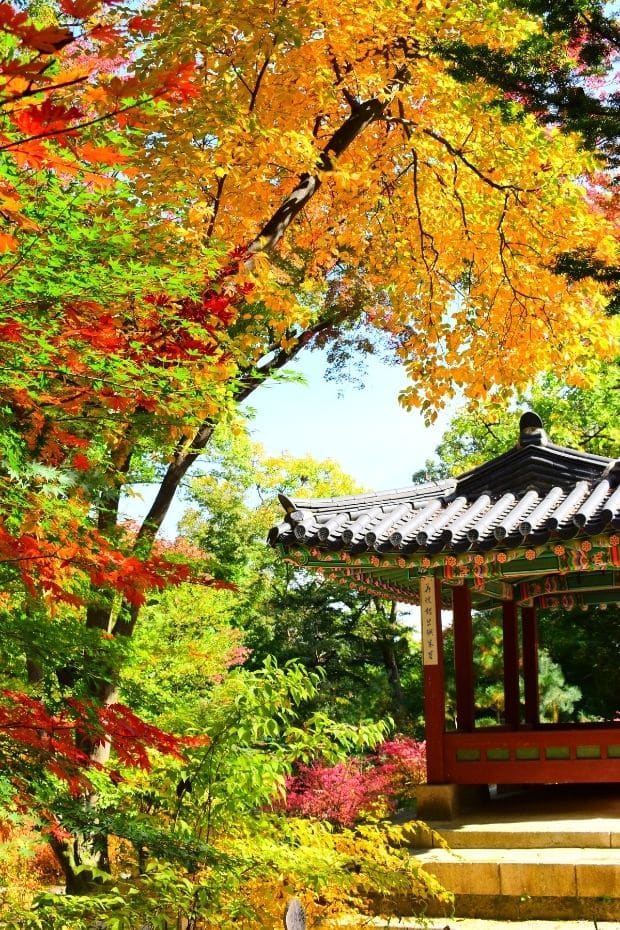 Inside the Secret Garden at Changdeokgung Palace, Seoul