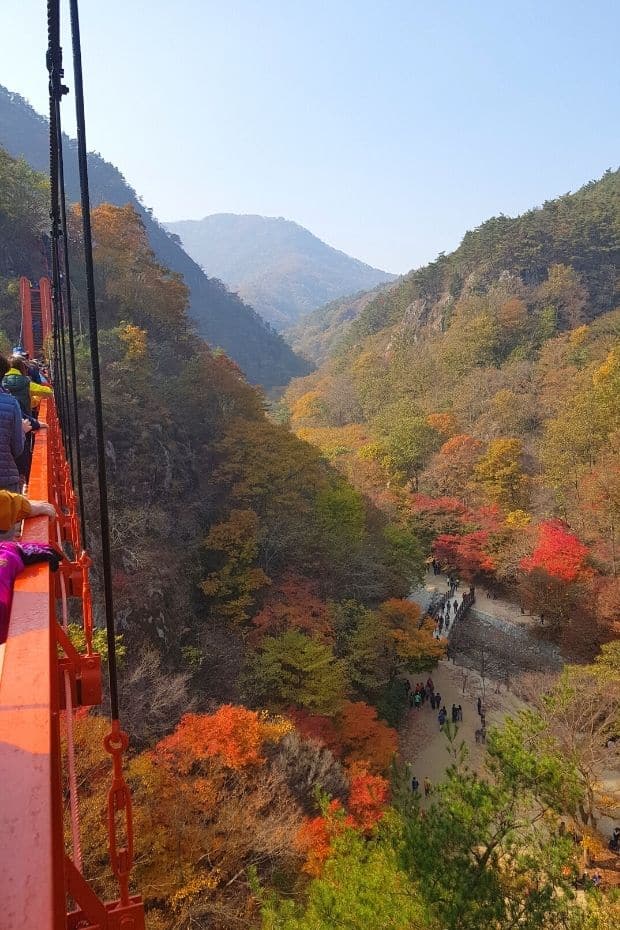 Suspension bridge at Gangcheonsan Mountain, Sunchang