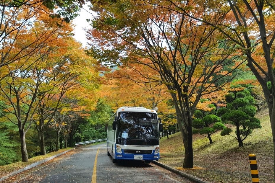 Tour Bus In Korea