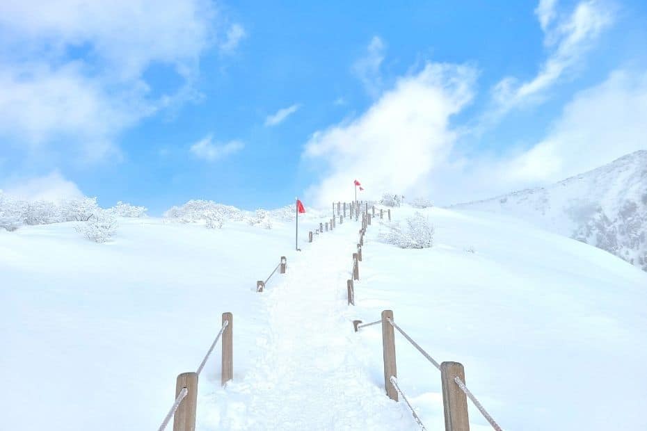 Snowy Slopes of Hallasan, which you can see during 1 week on Jeju Island in winter