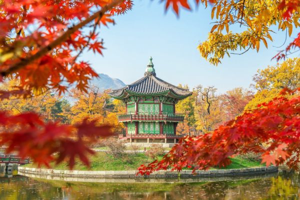 Where To See Autumn Leaves In Seoul